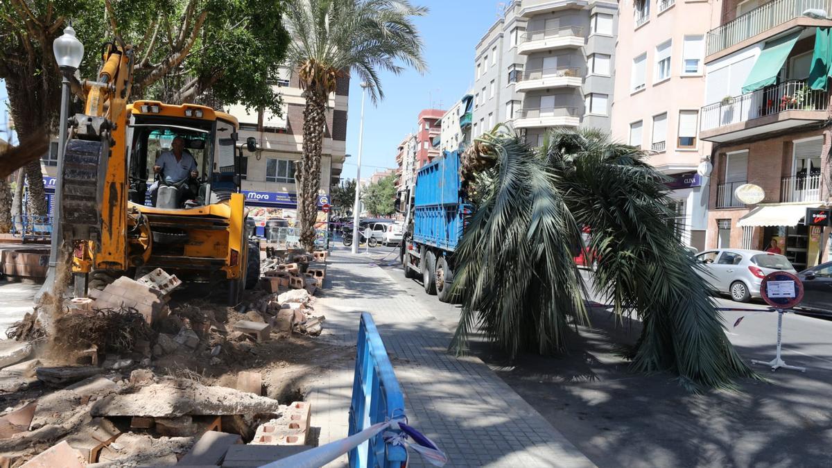 La retroexcavadora que ha sacado los ejemplares de palmera del parque que han sido trasladados en un camión para replantarse en otros espacios del municipio.