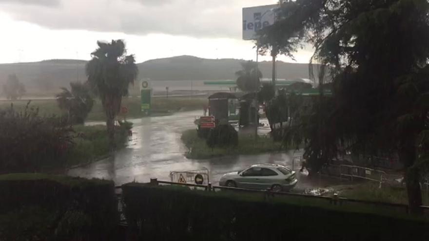 Tormenta de lluvia y viento en La Torrecilla (Córdoba capital)