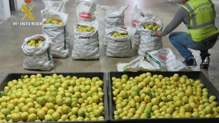 La Guardia Civil espera una noche a dos ladrones de limones para darles caza