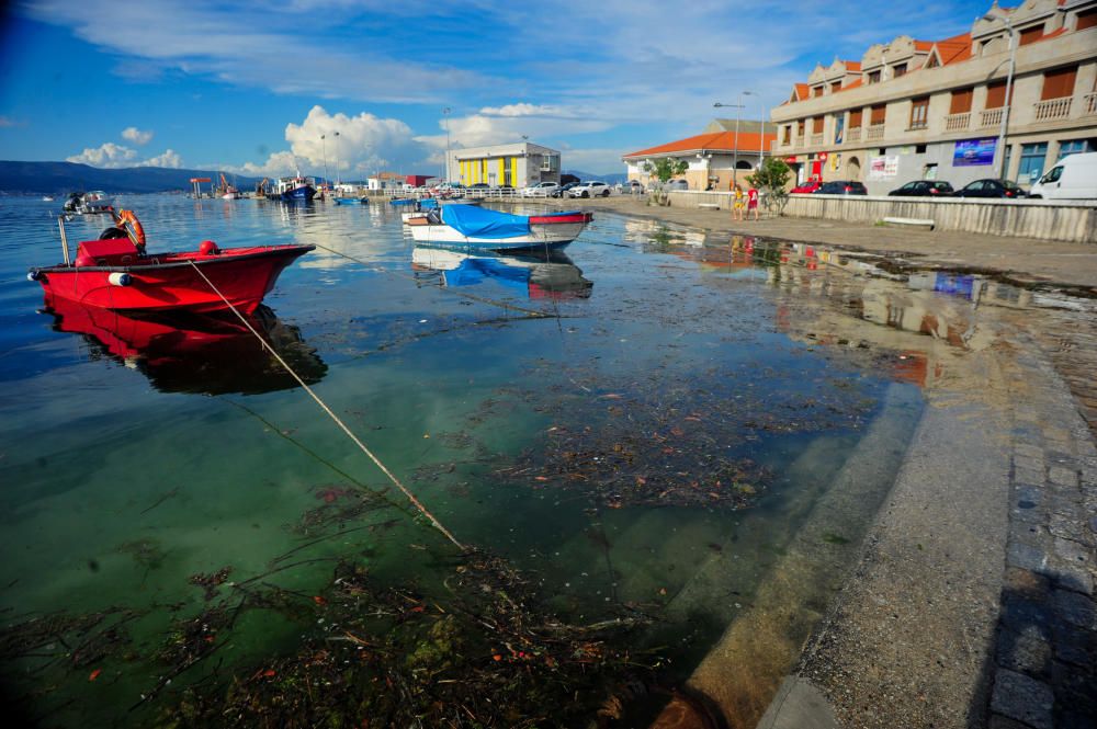 El Concello recoge imágenes de la pleamar más alta del año inundando espacios como O Cantiño y O Bao.