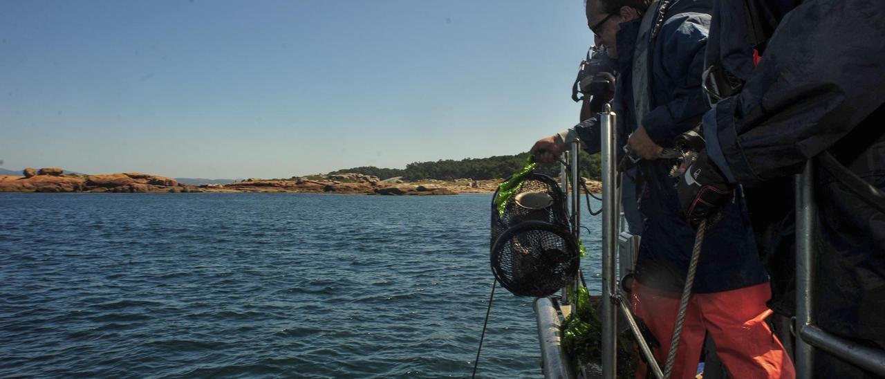 Efectivos de Gardacostas levantando nasas ilegales en la ría.