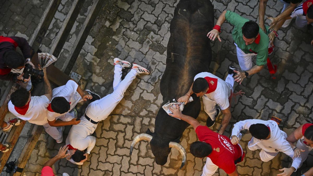 Quinto encierro de San Fermín con toros de Jandilla