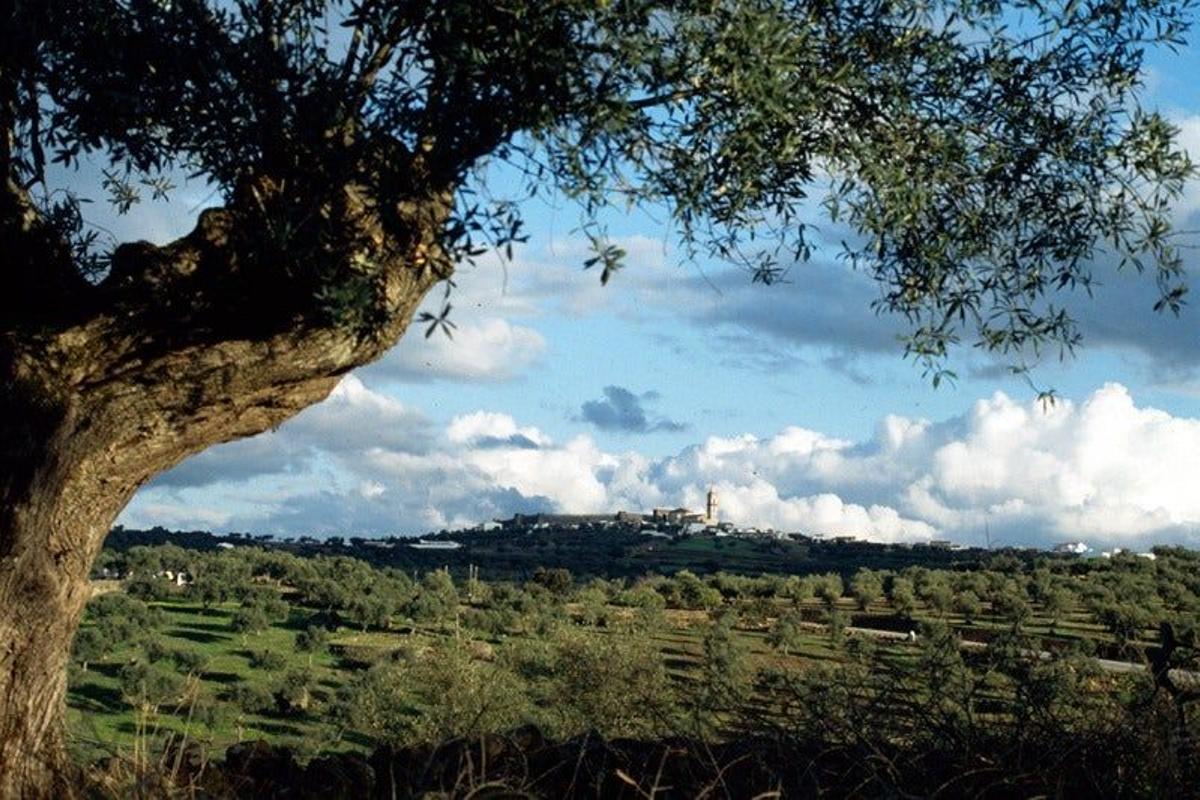 Cumbres Mayores