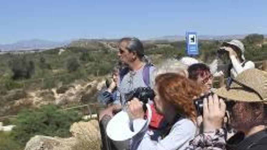 Observación en el Clot de Galvany.