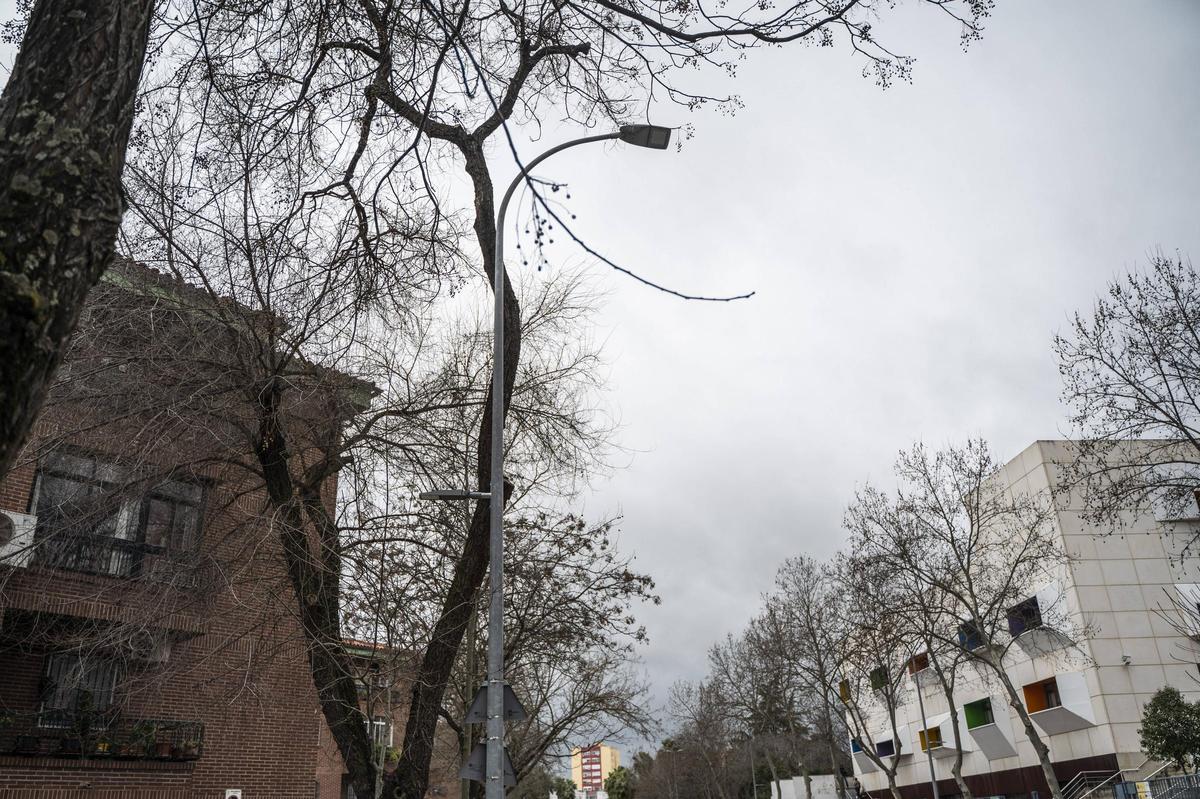 Galería | Así está la avenida de la Hispanidad de Cáceres en la actualidad