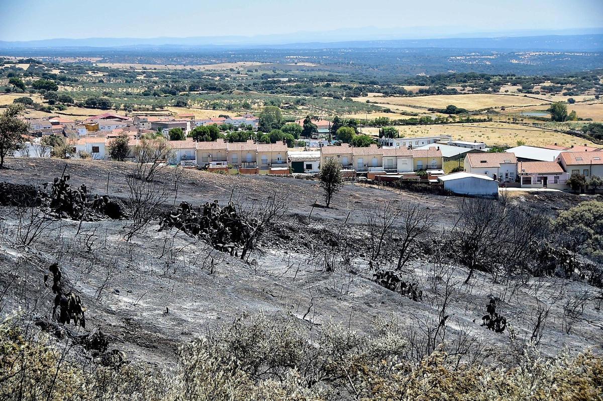 Fotogalería | Así ha quedado la zona de Casas de Millán tras el paso del incendio