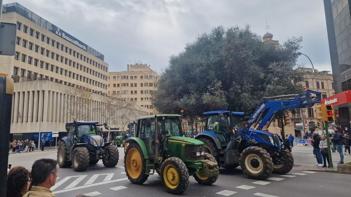 Traktor-Demo in Palma.