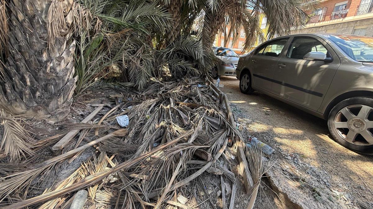 Ramas secas junto al estacionamiento en la calle Blas Orts Sánchez en Elche