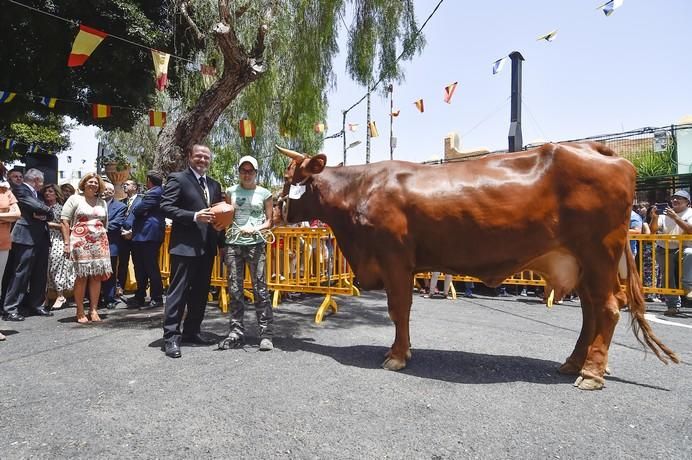 ENTREGA PREMIOS FERIA DE GANADO Y PROCESION ...