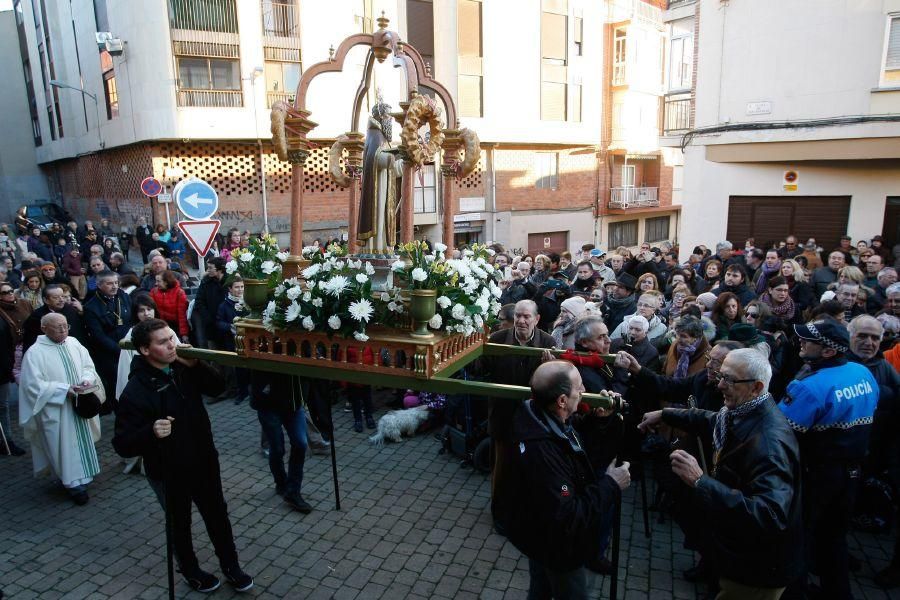 Los perros gobiernan por san Antón en Zamora