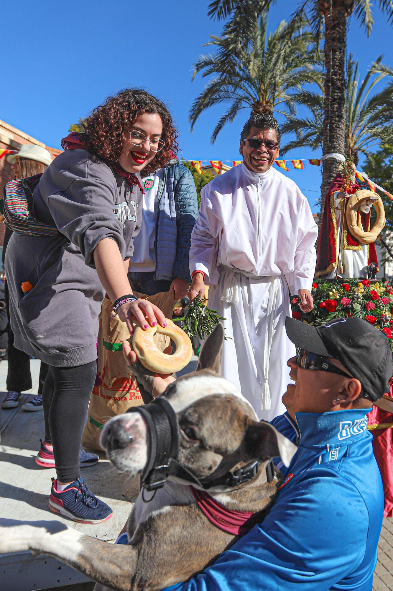 Romería y Bendición de animales en San Antón de Elche