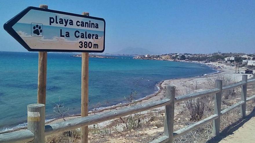 Cartagena ampliará el número de playas caninas con la nueva ordenanza