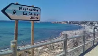 Cartagena ampliará el número de playas caninas con la nueva ordenanza