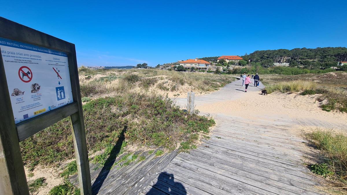 Carteles prohibiendo el paso de perros a la playa.