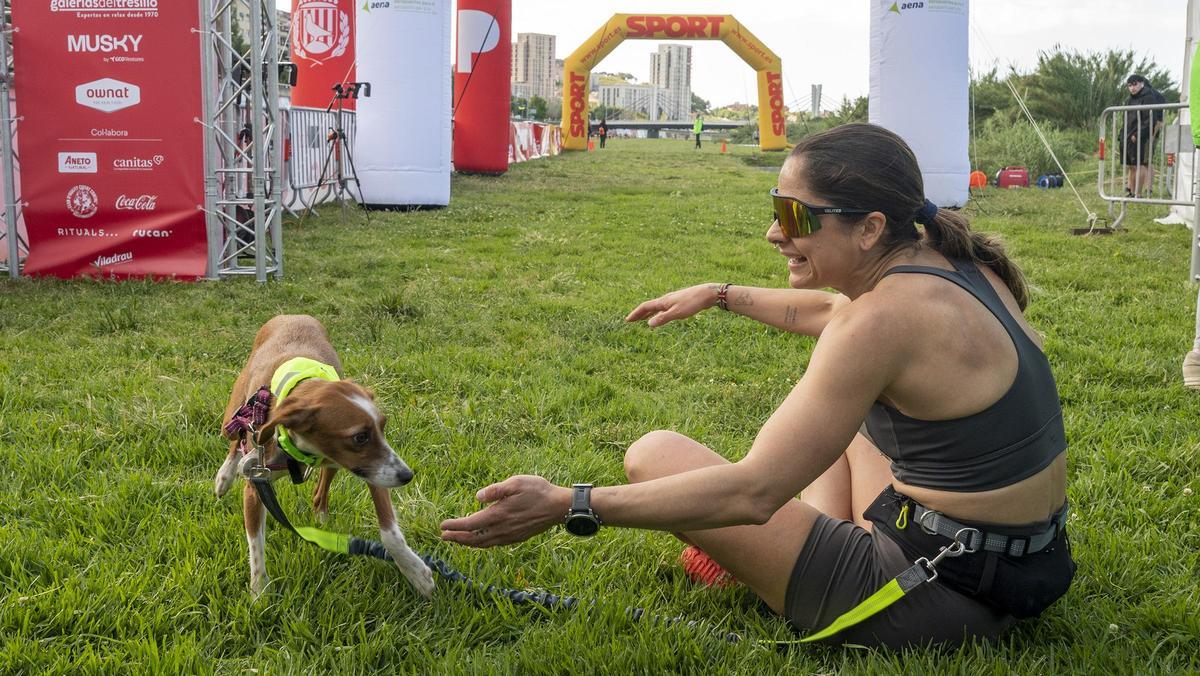 Carrera Can We Run 2026