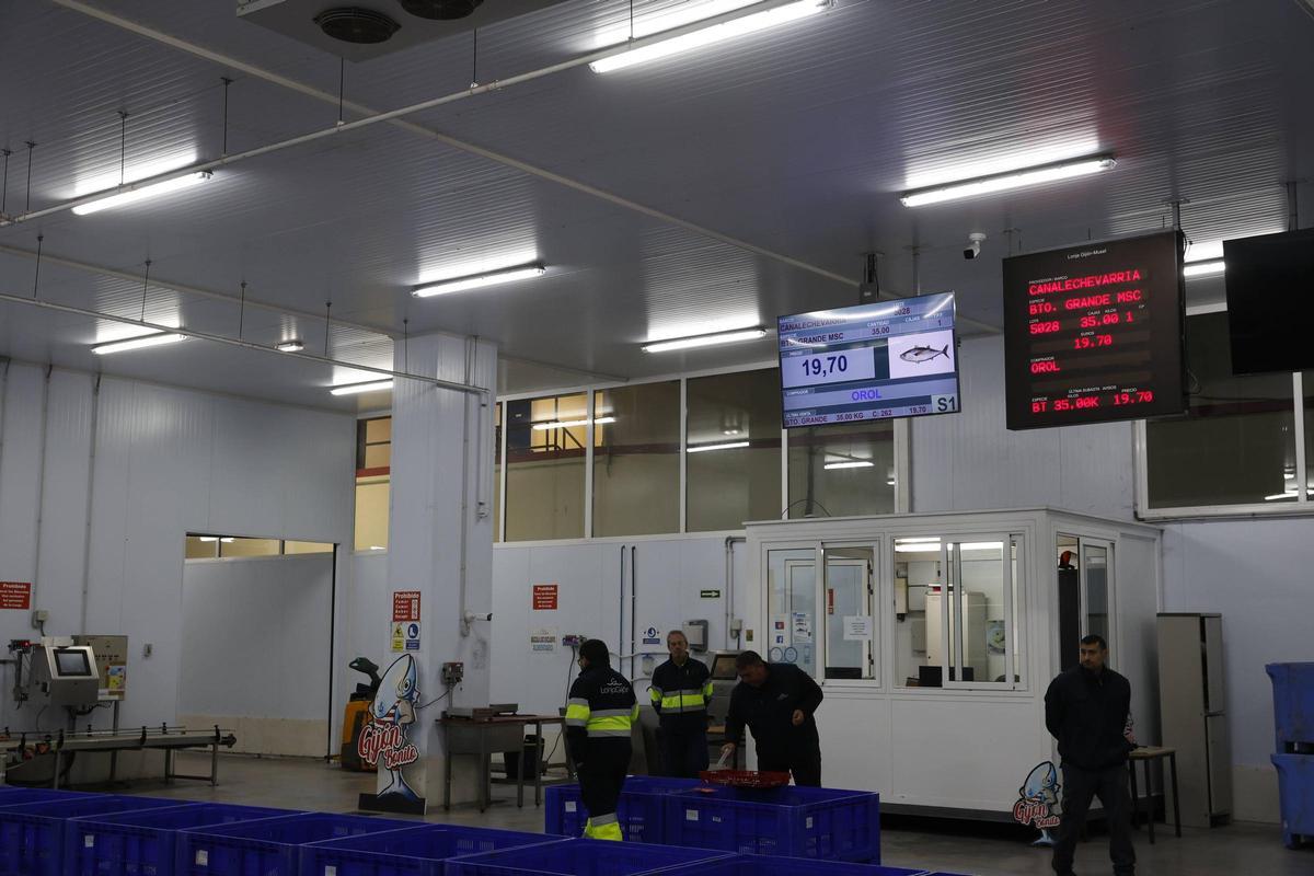 Primera subasta de bonito en Lonja Gijón en la temporada pasada, en el mes de mayo.