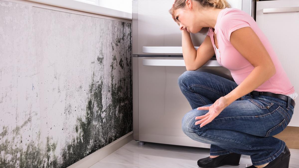 Cómo limpiar las manchas de humedad y moho de las paredes: los mejores trucos de limpieza.