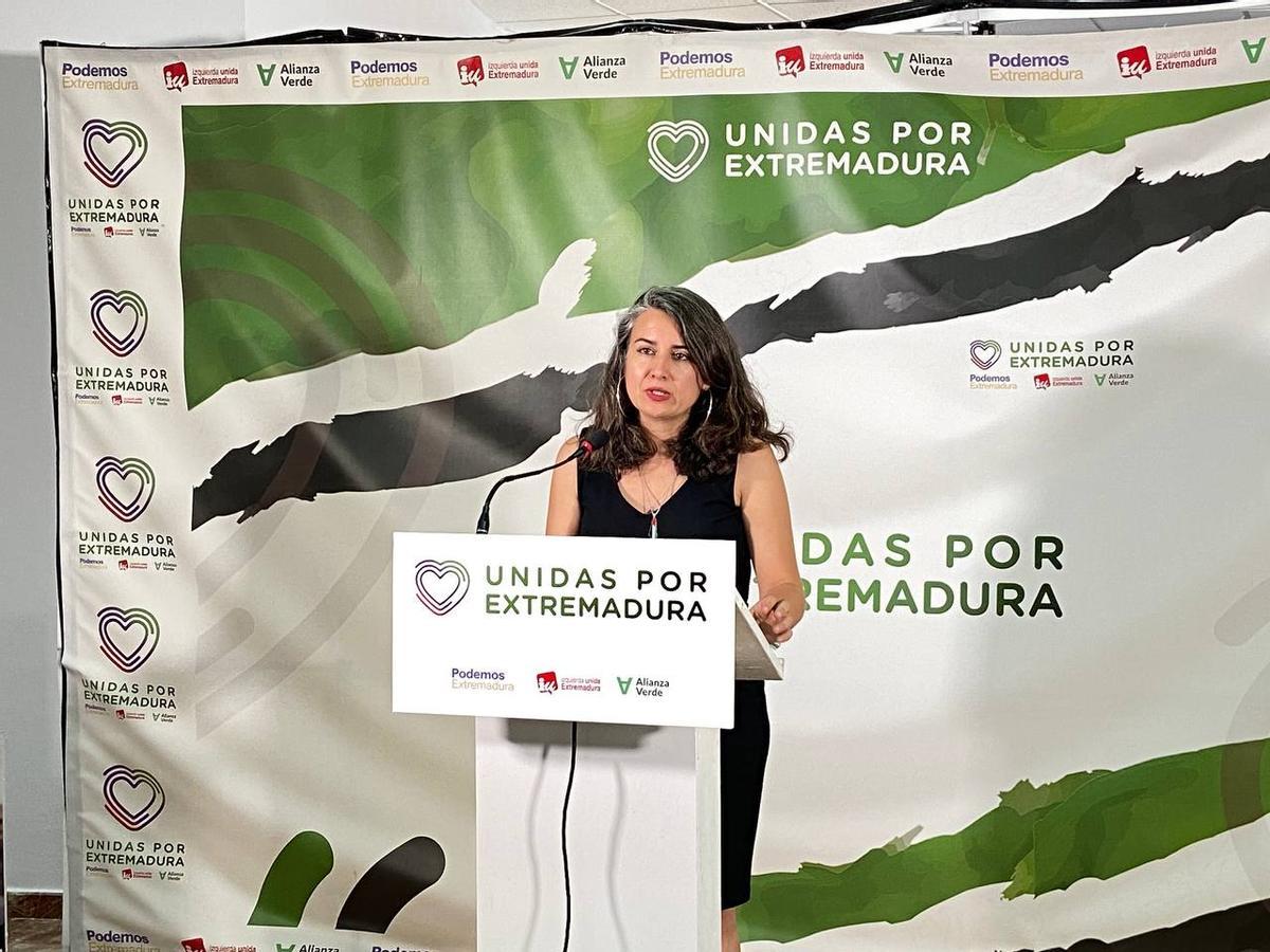 Irene de Miguel, en su comparecencia de este lunes.