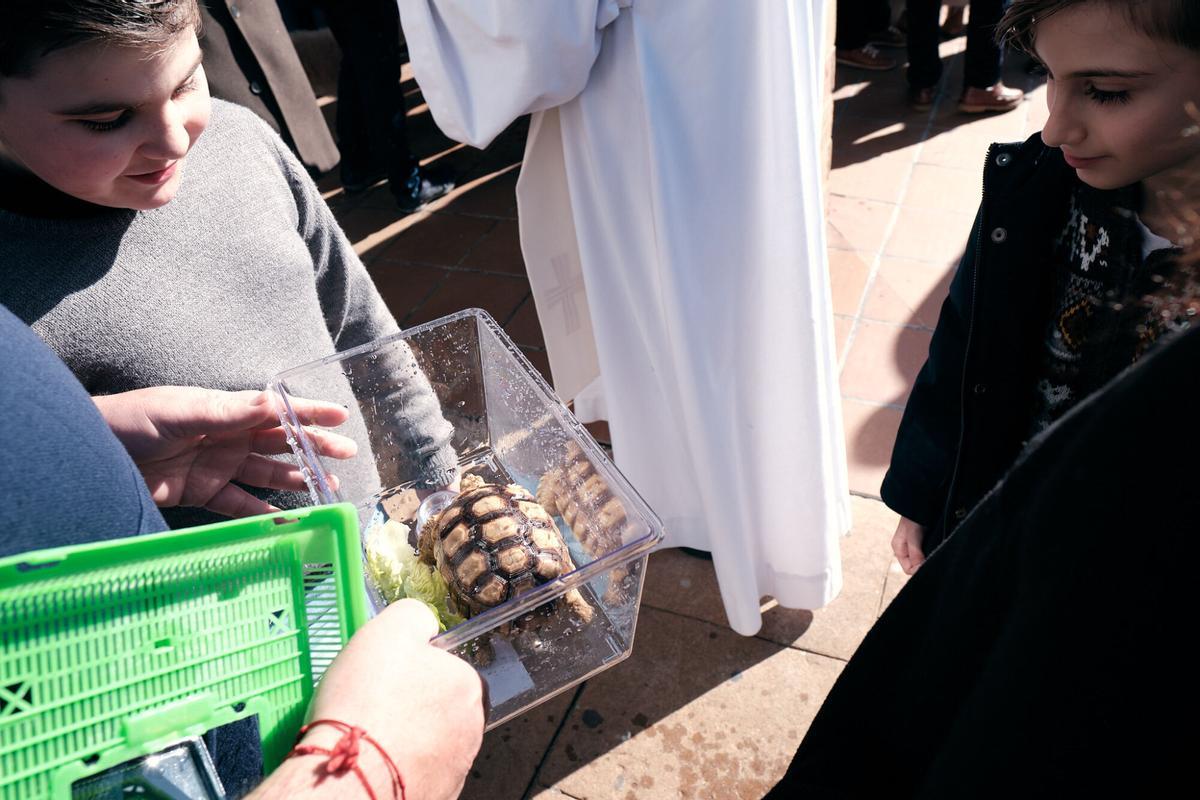 Churriana celebra la bendición de San Antón Churriana celebra la bendición de San Antón