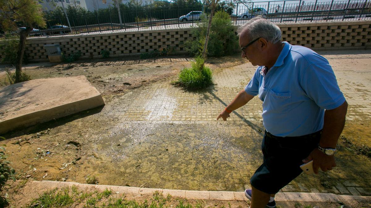 Vecinos se quejan de los residuos que deja la lluvia en el parque Joan Fuster tras una tormenta