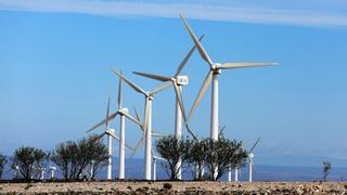 El Gobierno de Aragón no descarta rebajar aún más el impuesto a las renovables