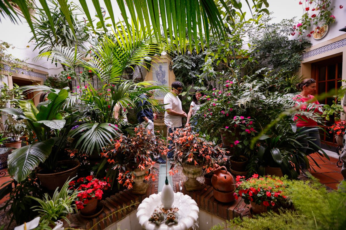 Así lucen los patios más visitados de la fiesta