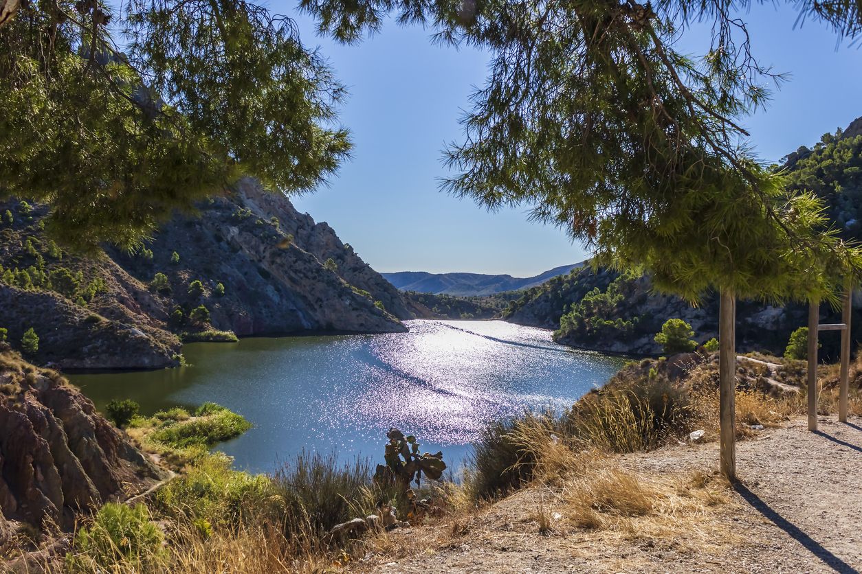 Es ideal explorar el pantano en invierno.