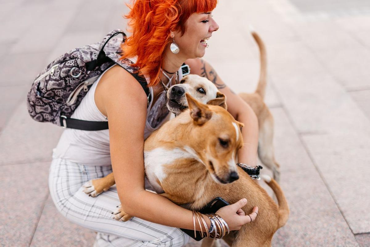 FIESTAS DE SAN ANTÓN: Atención amantes de las mascotas (Madrid)