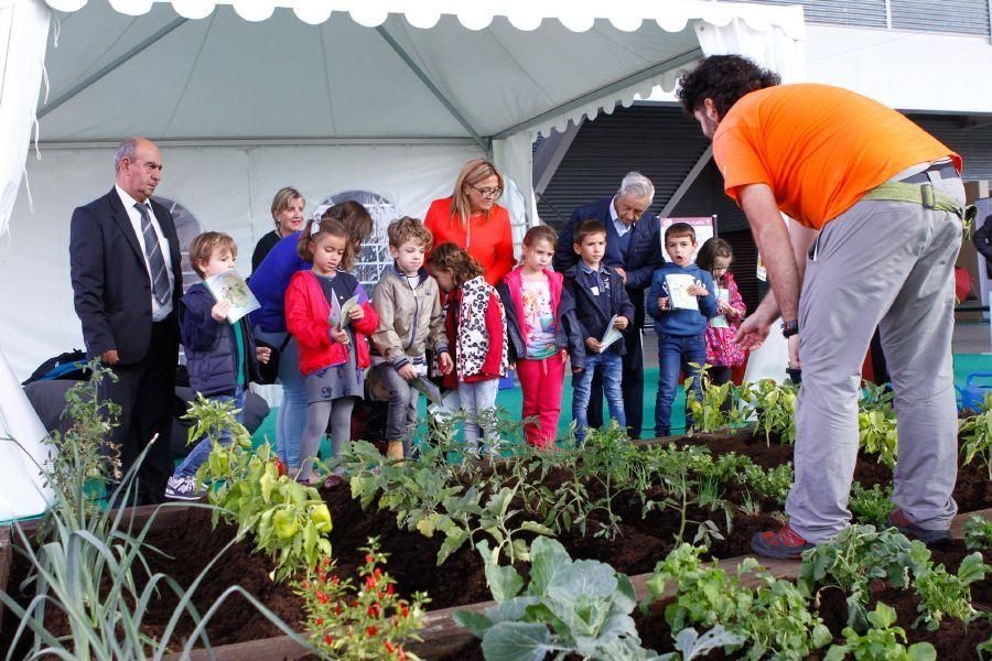 Ecocultura Zamora 2016