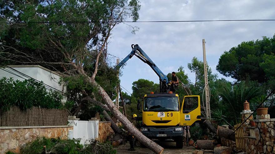 Más de 350 personas siguen sin electricidad por el temporal