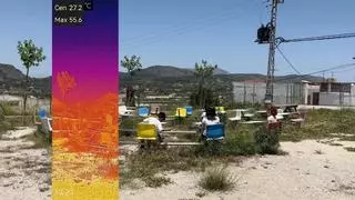 Un final de curso en el infierno: Alicante, entre las aulas al rojo vivo que denuncia Greenpeace por el calor extremo