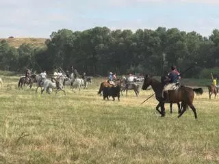 GALERÍA| Segundo encierro de San Antonio en Vadillo de la Guareña