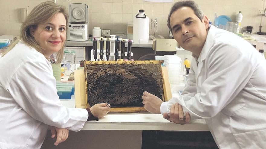 Los investigadores Sara Hernández y Joel González.