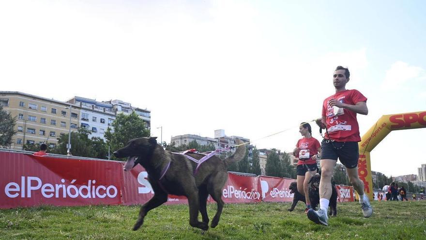 Carrera Can We Run 2026