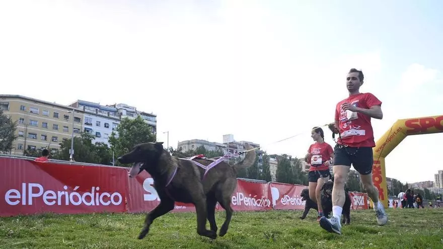 Carrera Can We Run 2026