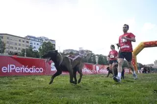 Carrera Can We Run 2026