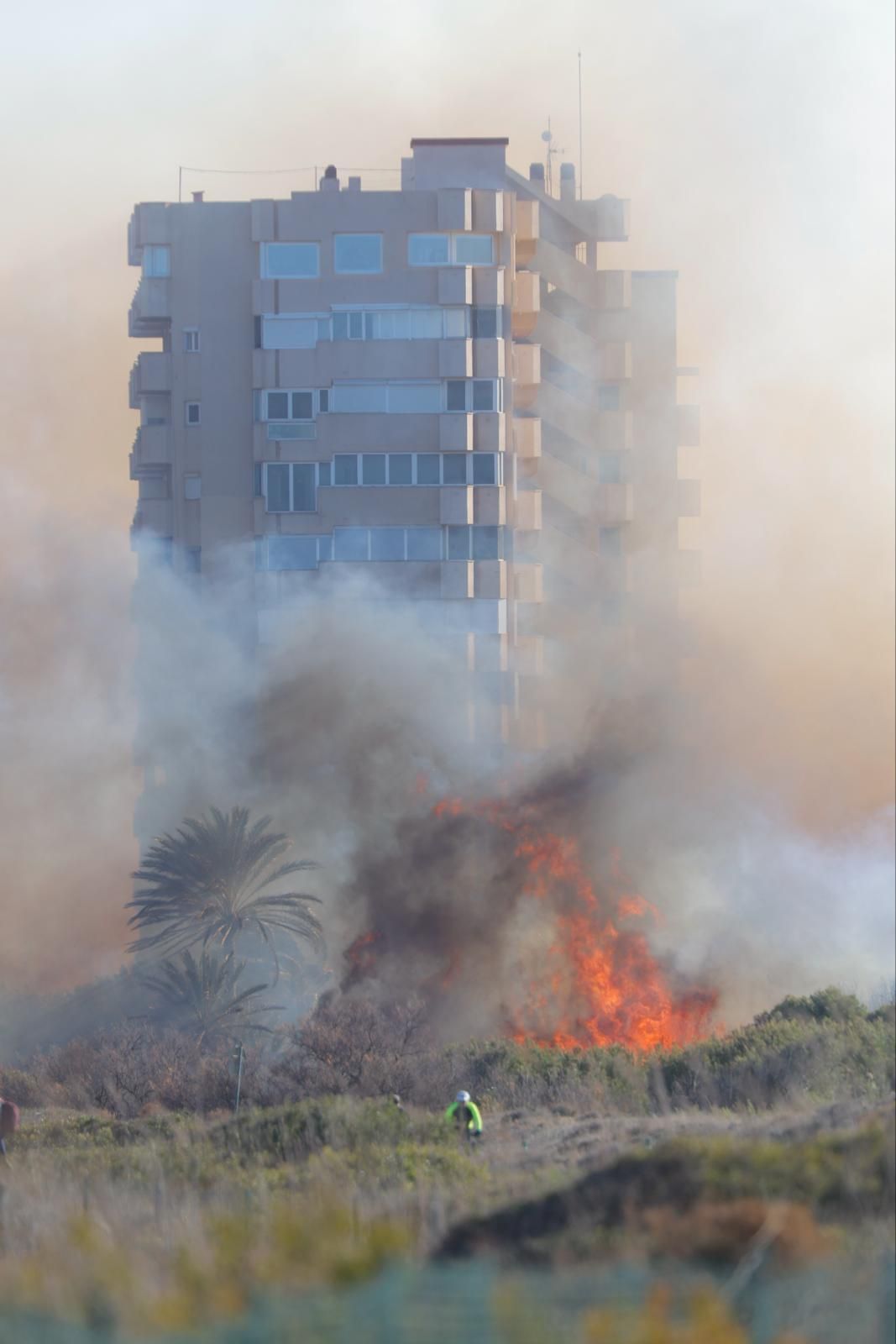 Declarado un incendio en el Saler