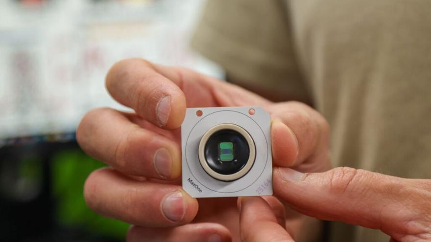 Nuestros cerebros vienen preconfigurados para comprender el mundo desde antes de experimentarlo