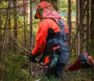 Oito concellos de Barbanza e Costa da Morte formarán 80 persoas en obradoiros de emprego