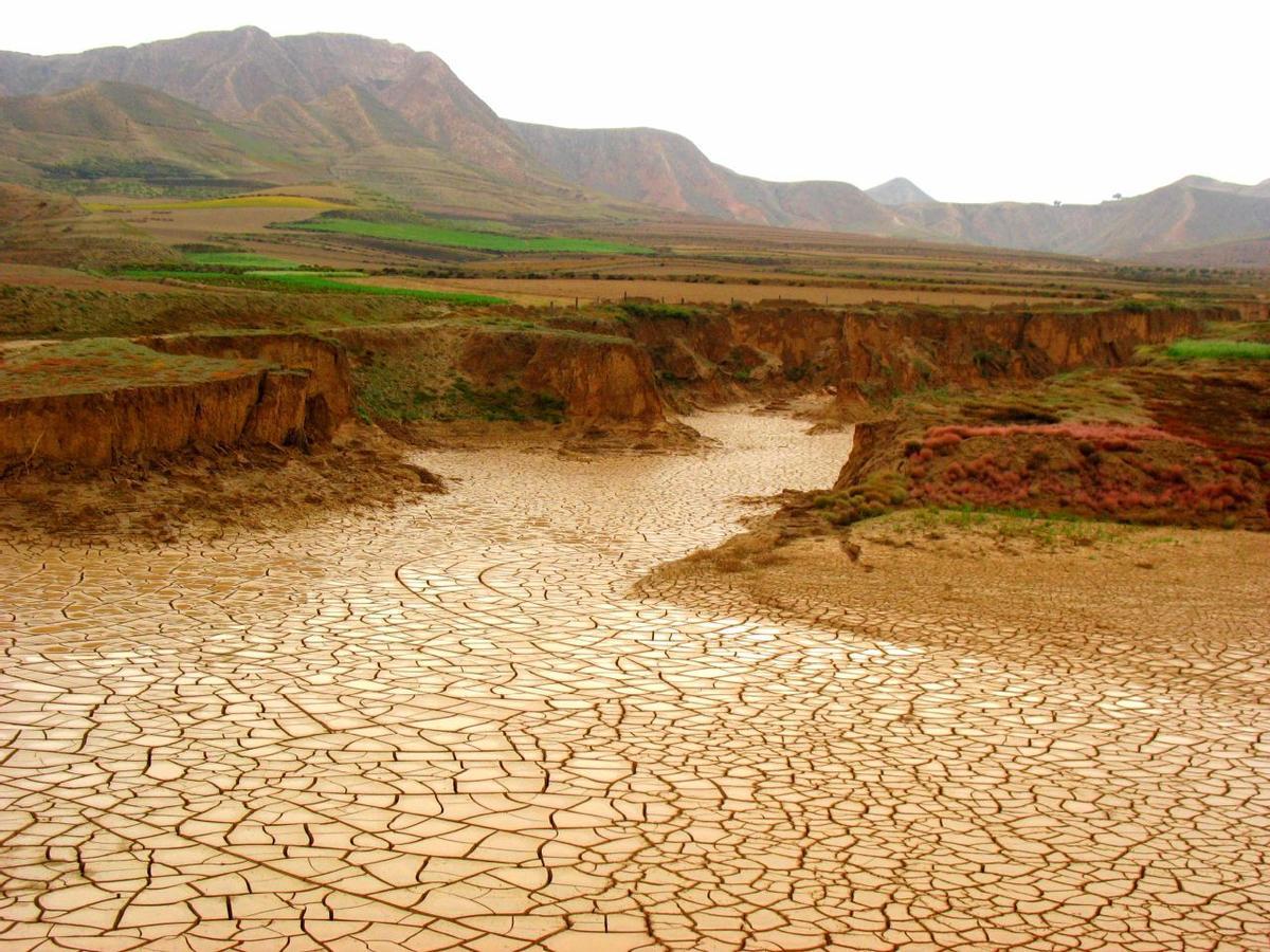La cumbre trata de frenar la creciente desertificación