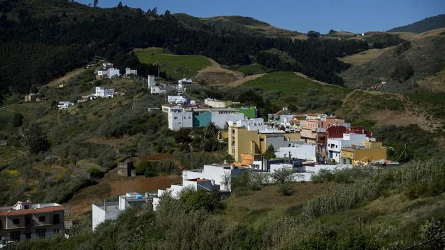 Montaña Alta de Guía celebra los 40 años de la Fiesta de Queso