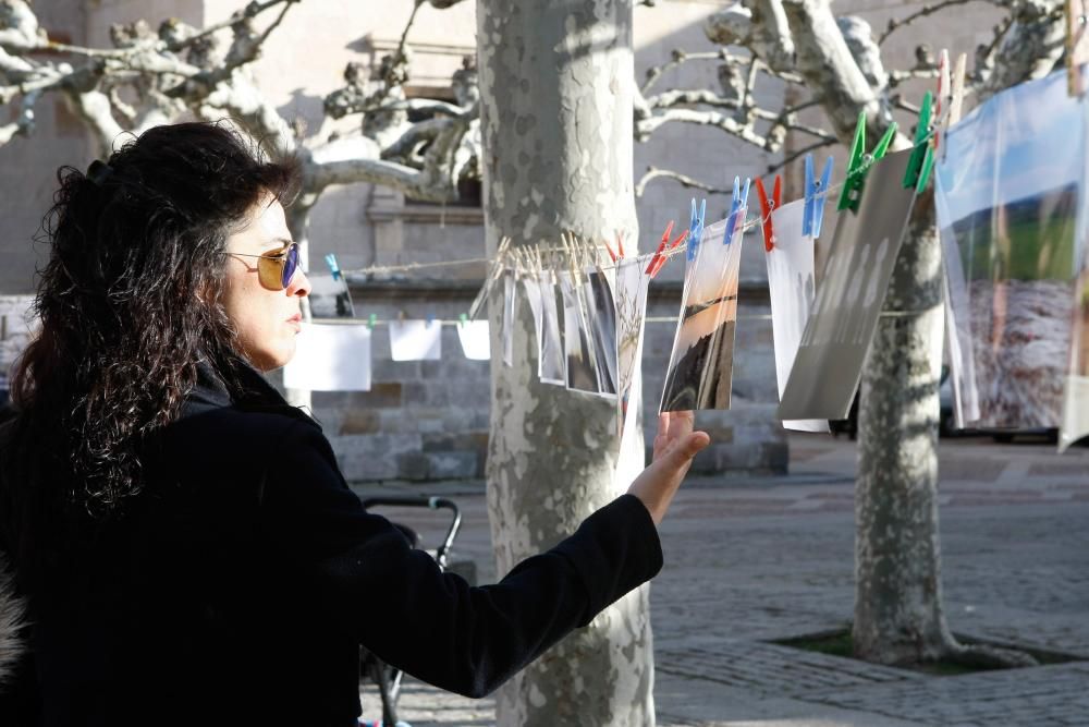 Iniciativa "Secado" en la plaza de Viriato