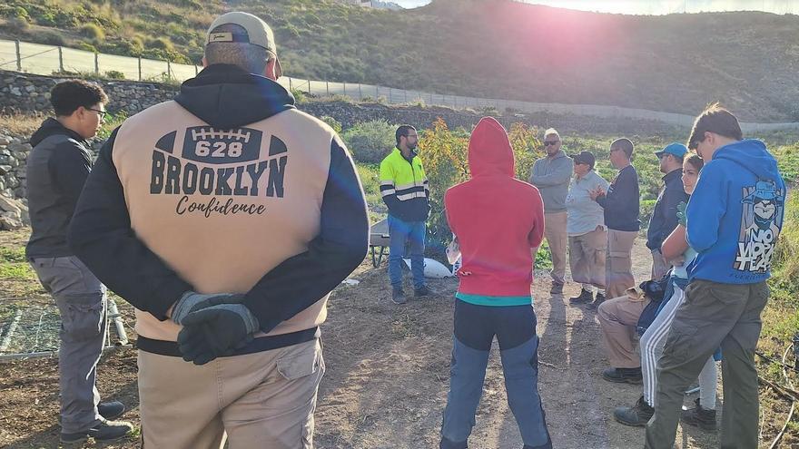 El poder del compostaje en Hoya Ponce para una Canarias más verde