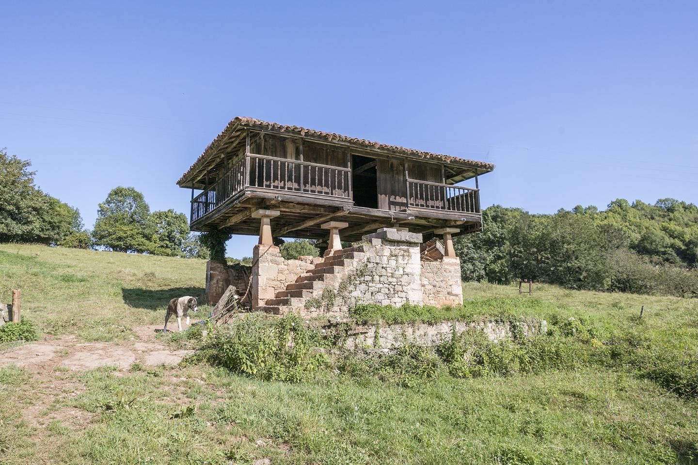 Así es palacio rural que se vende en Bayo (Grado)