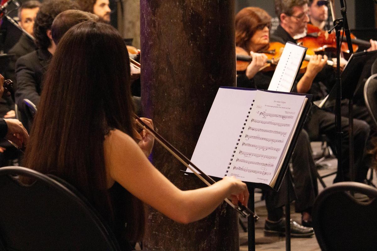 La Mezquita-Catedral se viste de música para celebrar los 50 años del hospital Reina Sofía La Mezquita-Catedral se viste de música para celebrar los 50 años del hospital Reina Sofía