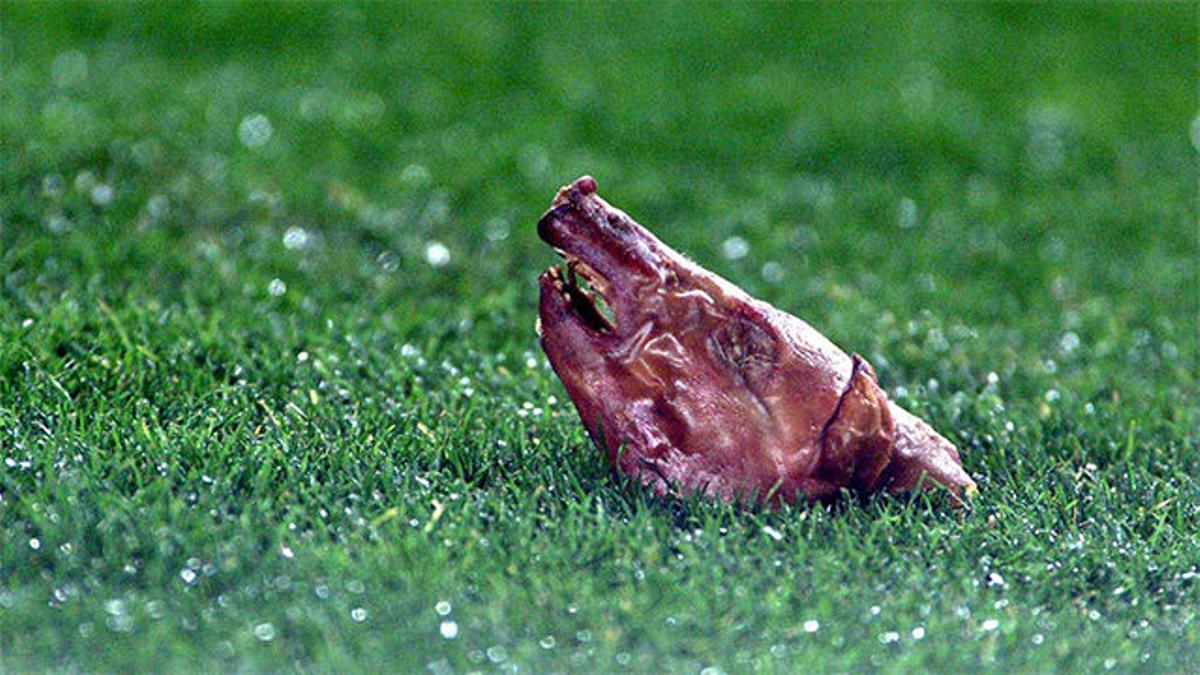 El día que el Camp Nou le lanzó una cabeza de cochinillo a Figo