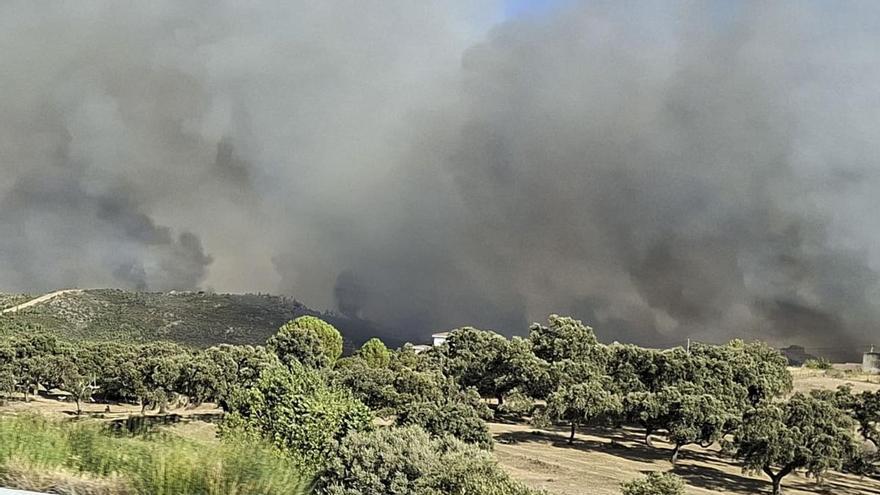 El incendio de Burgohondo (Ávila) en "situación favorable" y controlado el de Guadalajara