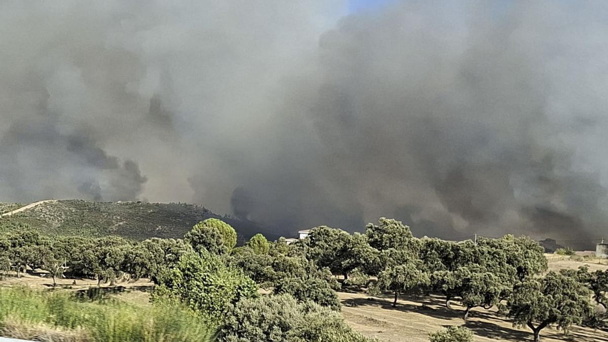 El incendio de Burgohondo (Ávila) en «situación favorable» y controlado el de Guadalajara
