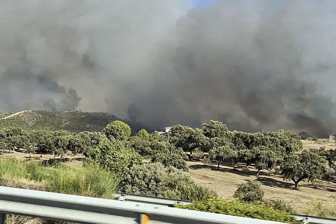 El incendio de Burgohondo (Ávila) en "situación favorable" y controlado el de Guadalajara