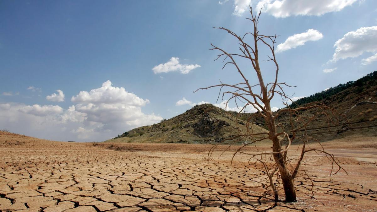 Paraje desértico en la provincia de Valencia por la sequía